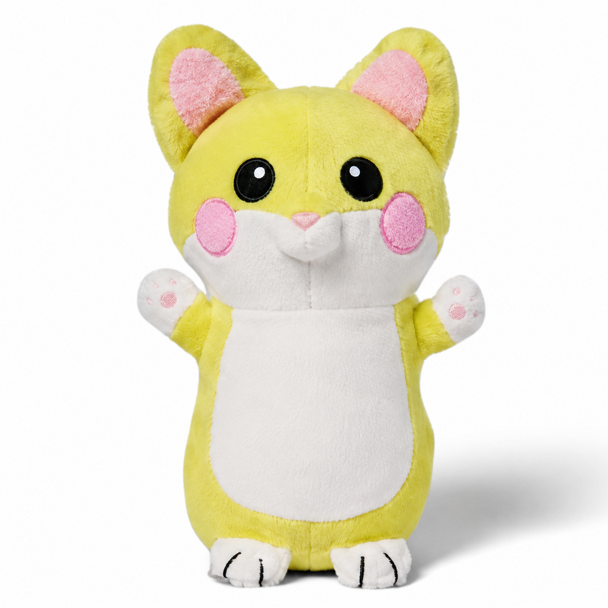 Gatito Dibuli sobre fondo blanco